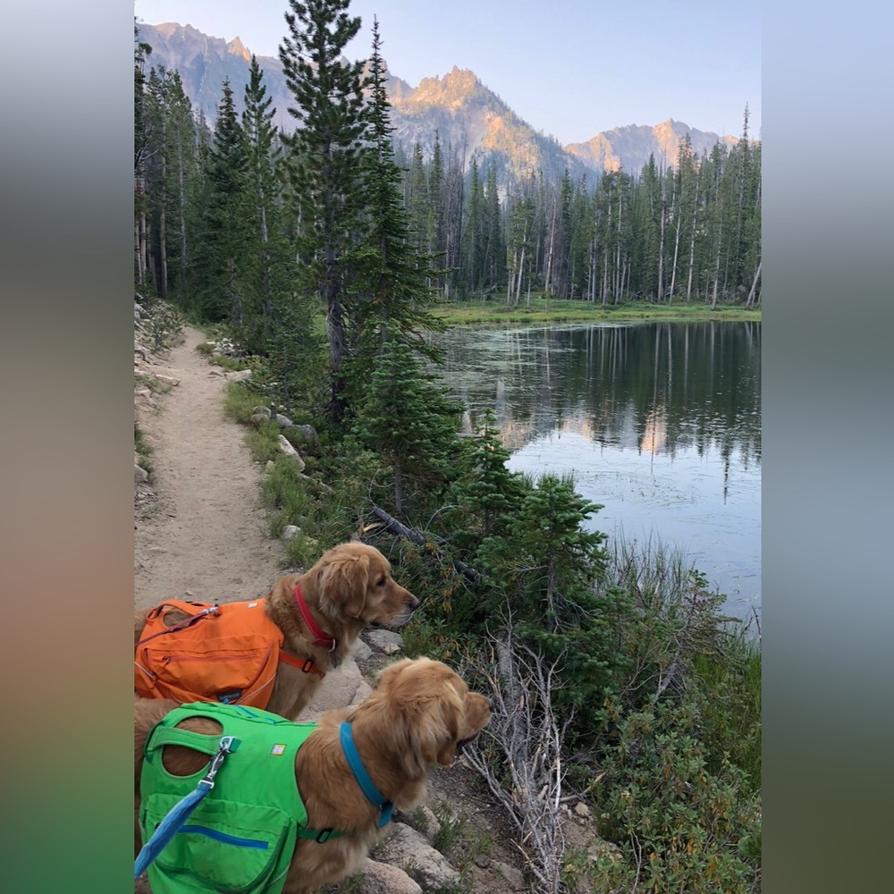 Ruff Wear Dog Pack.